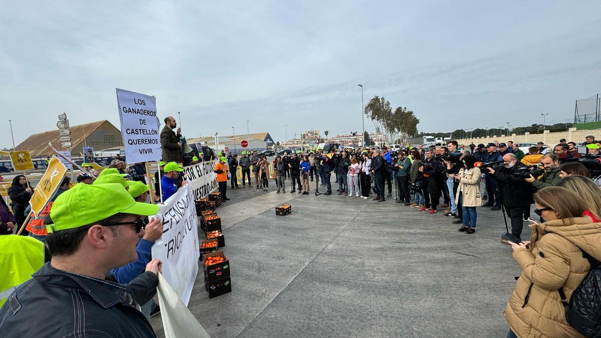 Los agricultores protestan en PortCastelló