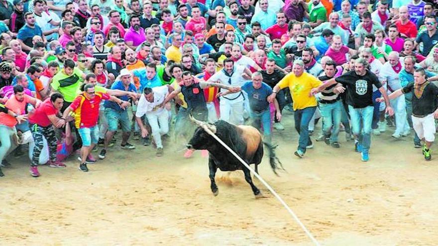 Siguiñuelo, Toro Enmaromado de 2022.. | |  CEDIDA