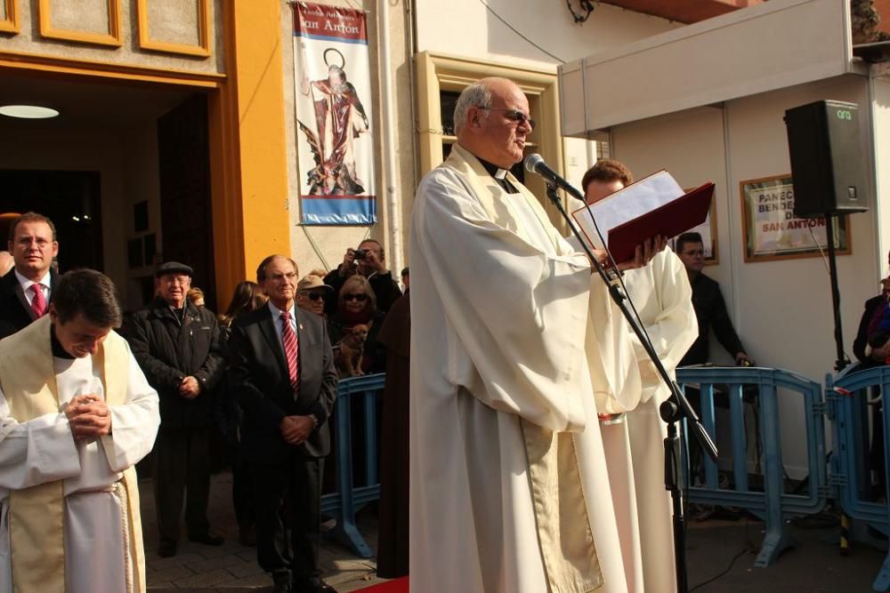 Bendición de San Antón en Murcia