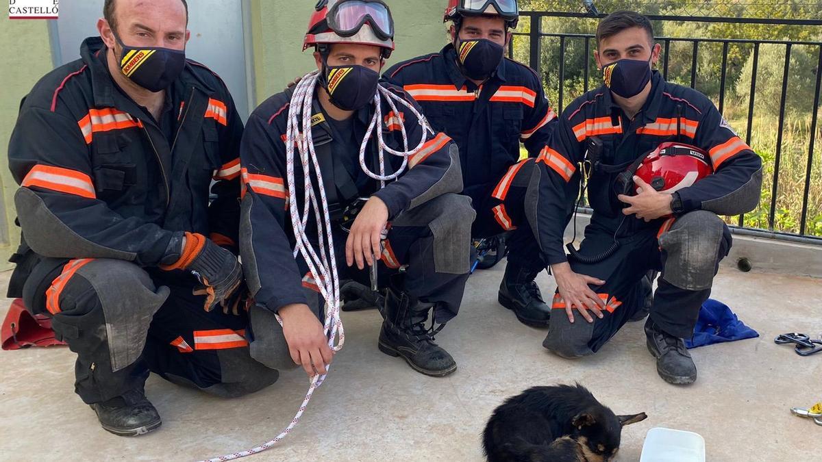 Los Bomberos de Castellón rescatan a un perro del barranco de Onda