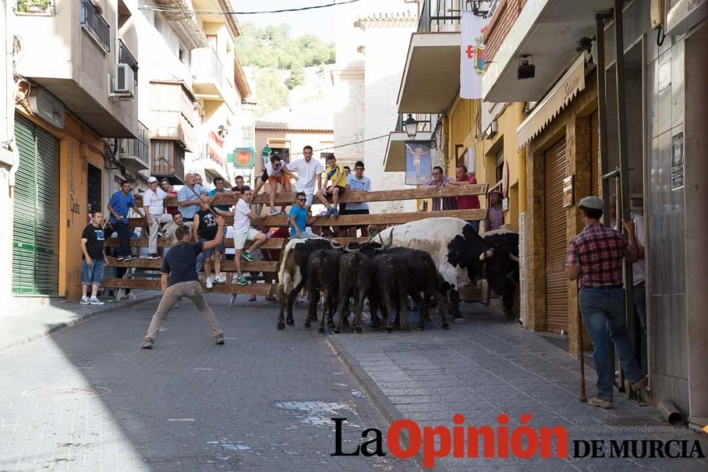 Primer encierro Moratalla