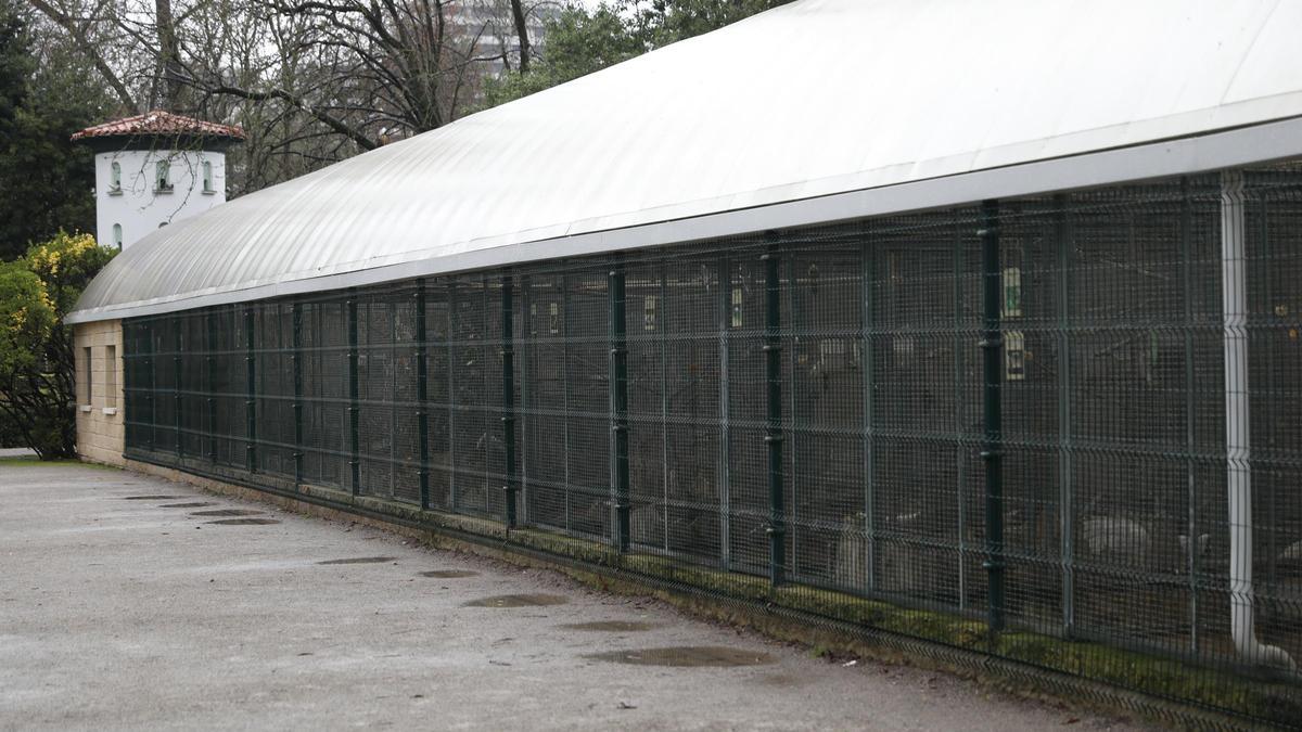 La pajarera de Isabel la Católica