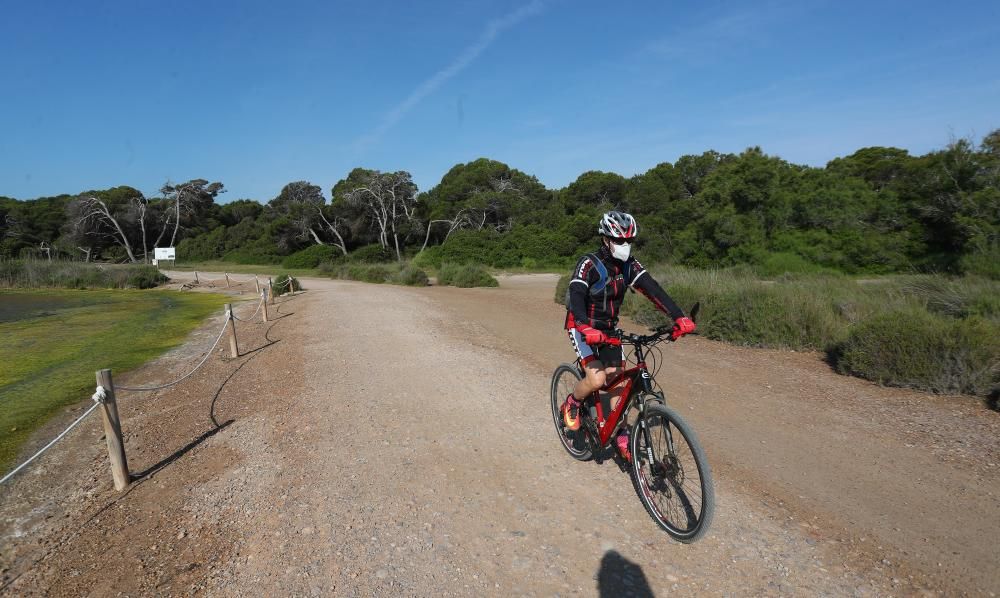 ciclistas rodando por la carretera de El Saler