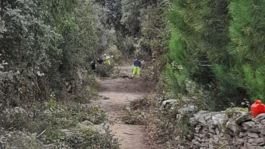 Una cuadrilla despeja el sendero a su paso por Fornillos. | M. B.