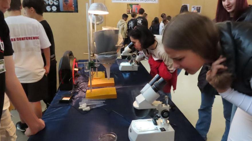 III Feira da Ciencia de los institutos de Baiona y Nigrán |
