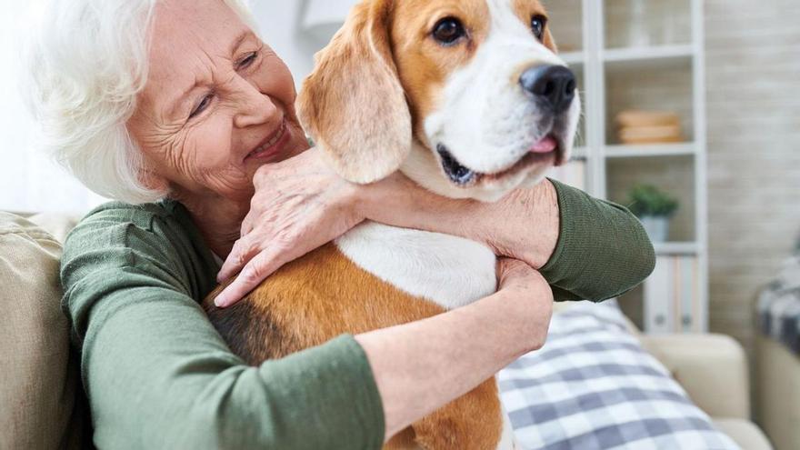 La companyia dels gossos té beneficis per a la gent gran