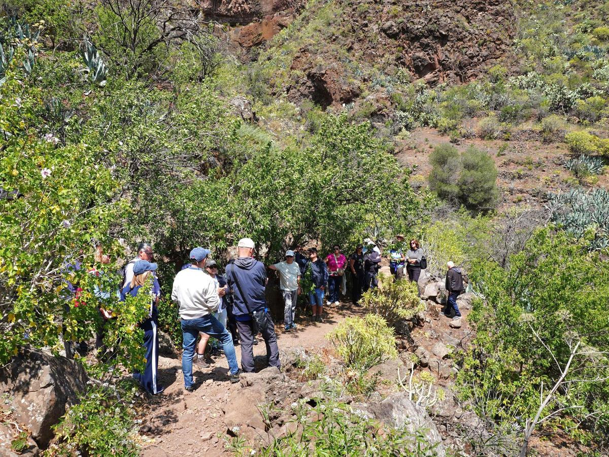 Los asistentes durante la visita guiada al barranco de Guayadeque.