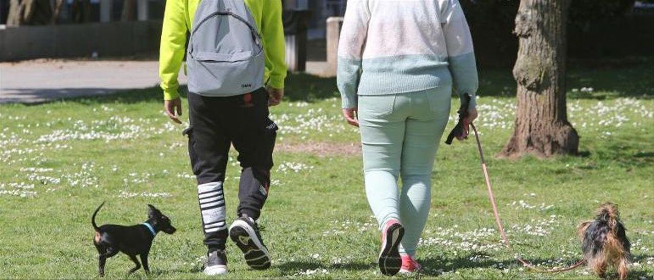 Un chico y una chica pasean a sus perros en un parque de Vigo.