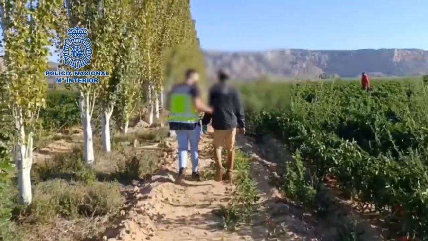 Detenidas 43 personas por explotación laboral a inmigrantes en campos agrícolas de Zaragoza y Navarra