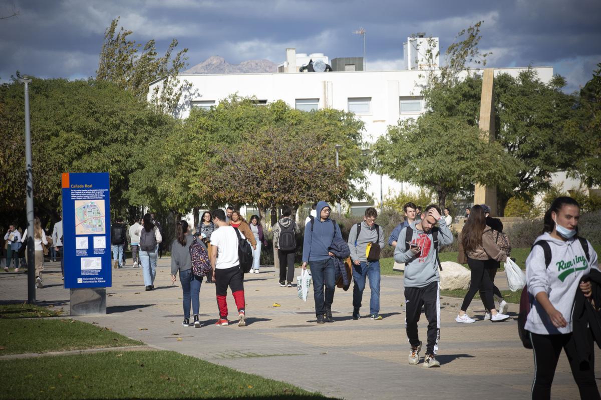 Campus de la Universidad de Alicante, en una imagen de archivo