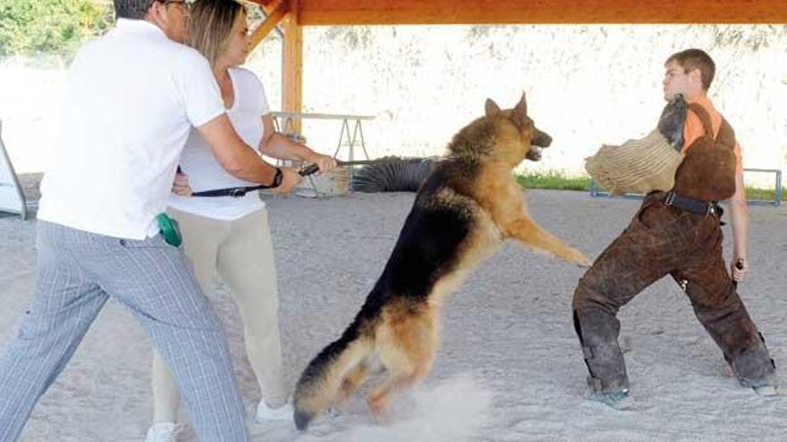 Los adiestradores enseñan al perro cómo actuar frente a una agresión.  // Juan Varela