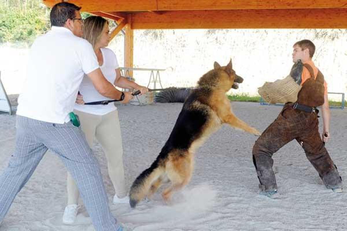 Los adiestradores enseñan al perro cómo actuar frente a una agresión.  // Juan Varela