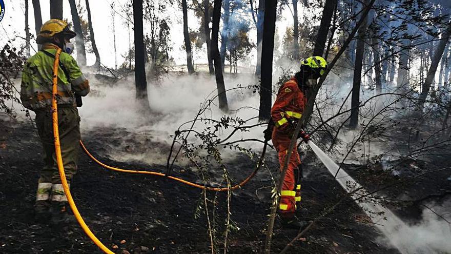 Oliva 
Jornada para evaluar daños tras el incendio forestal de Santa Anna