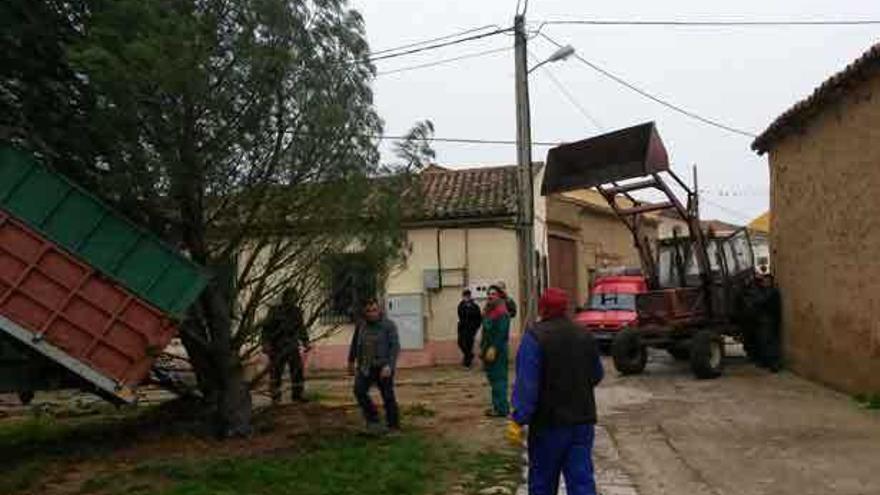 Vecinos de San Martín de Valderaduey colocan el árbol de Navidad.