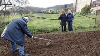 Superada la crisis de la polilla: todos los concejos de Asturias tienen el visto bueno para volver a plantar patata