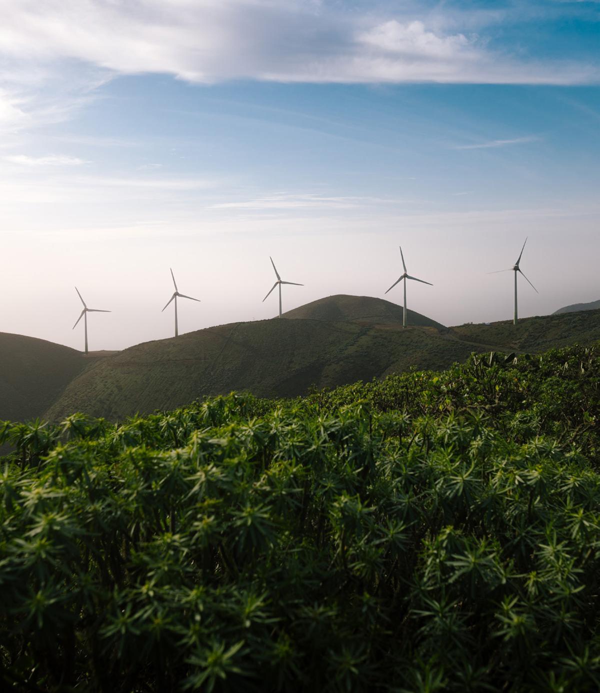 Molinos de viento de la Central Hidroeólica Gorona delViento,  en El Hierro.