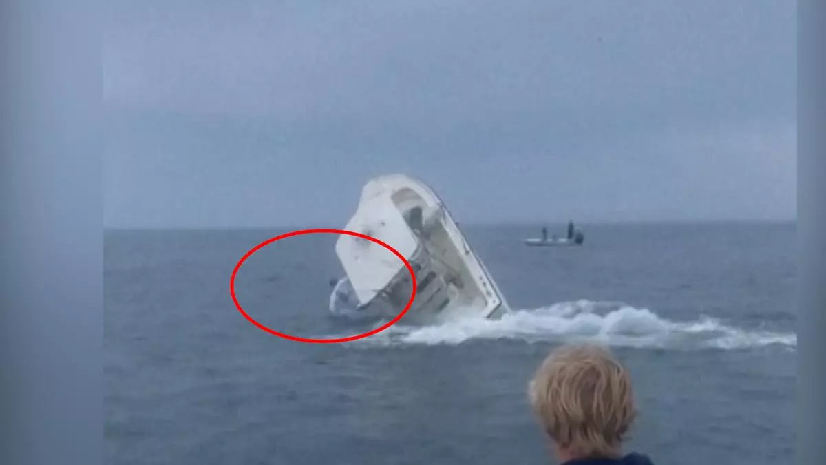 Aterrador ataque de una  ballena a una embarcación lanzando por los aires a uno de los tripulantes