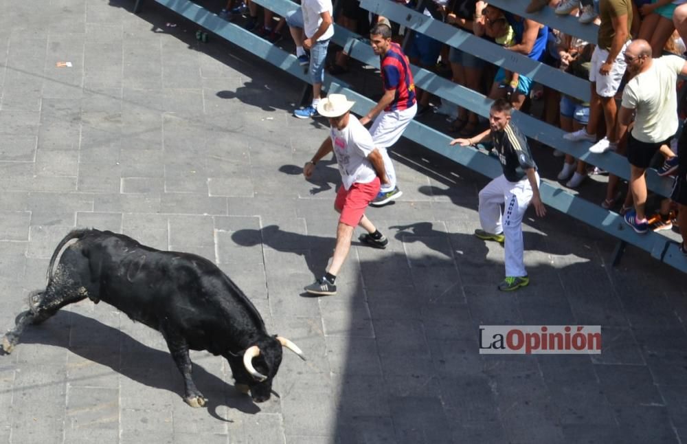 I Encierro de Blanca 2016