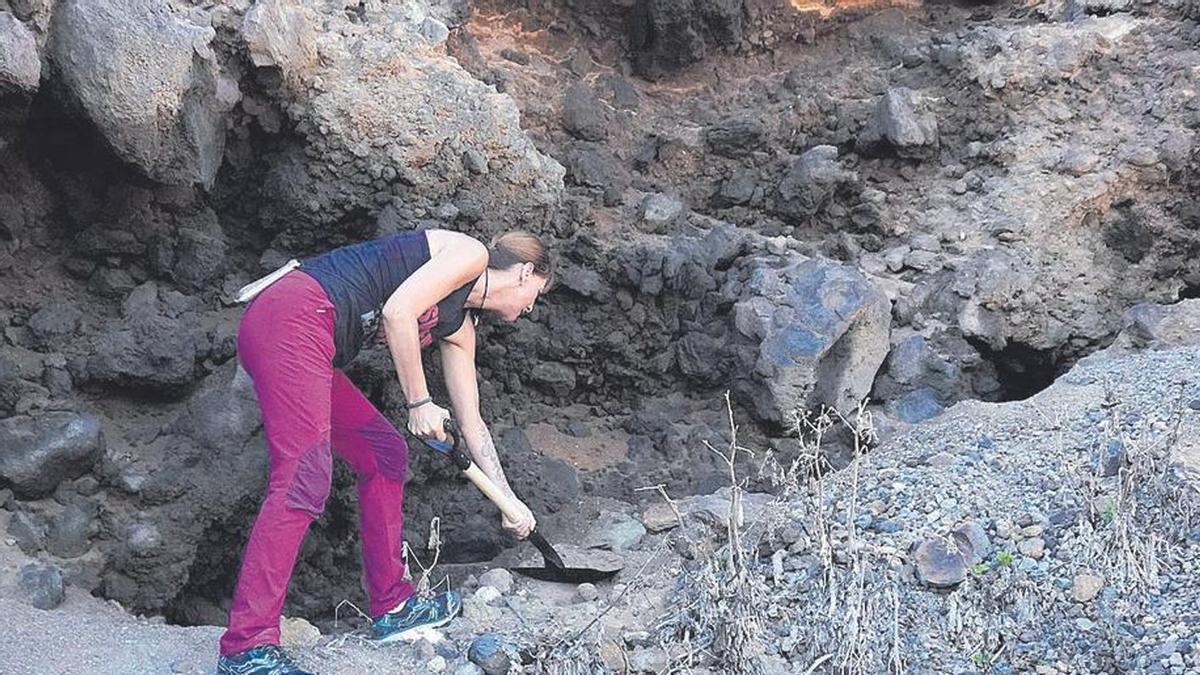 Excavación arqueológica en una cueva de Los Silos en busca de restos de represaliados del franquismo.