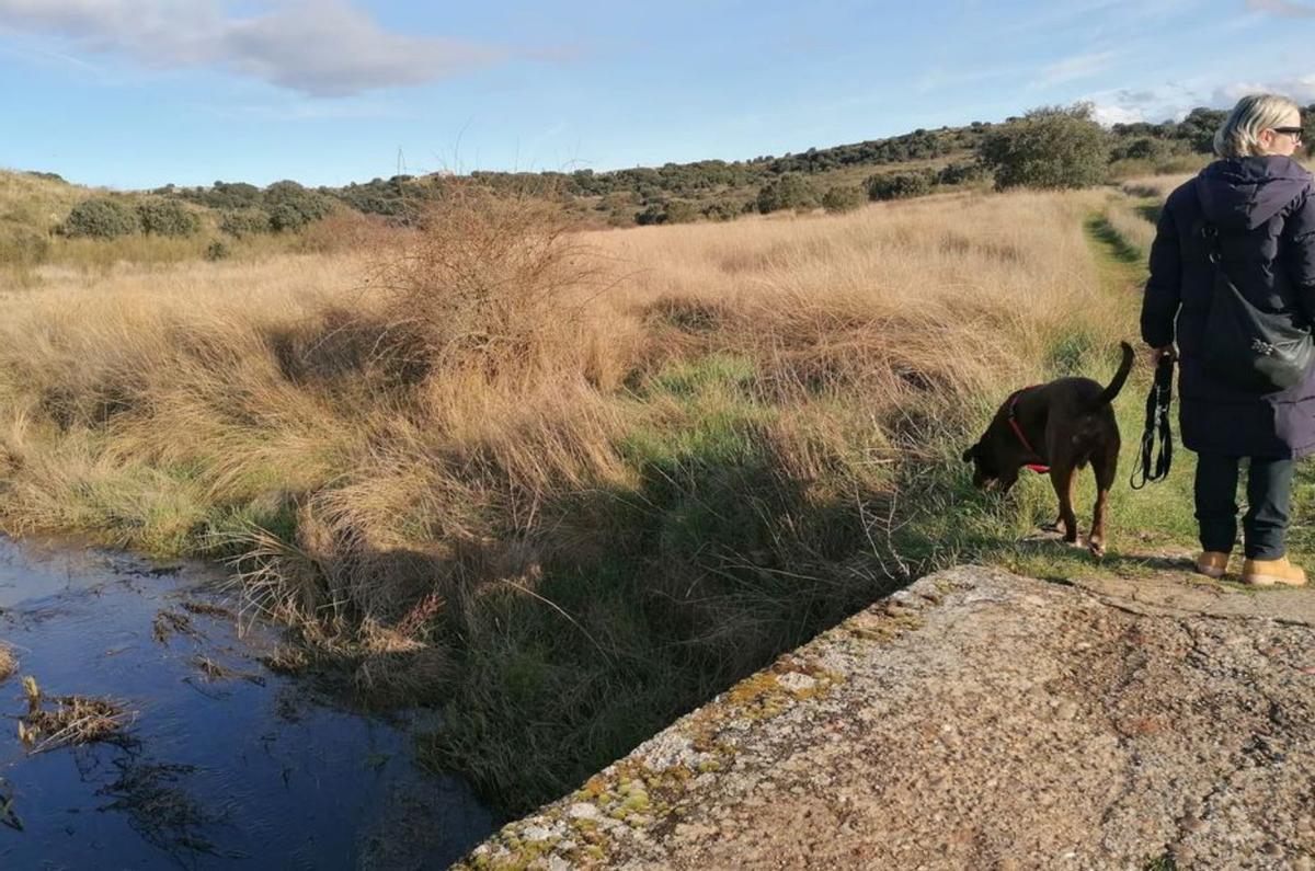 El teso del Zape, en riesgo por los quads