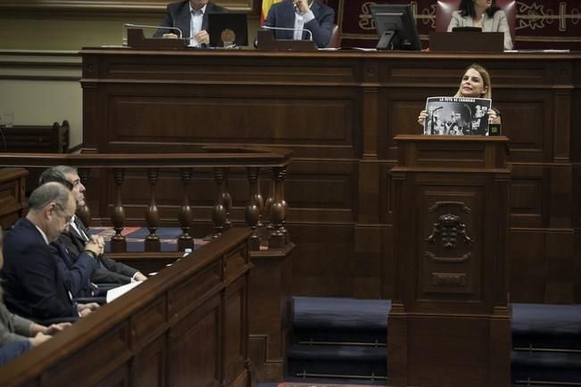 19/01/2017.CANARIAS.Pleno del Parlamento de Canarias..Fotos: Carsten W. Lauritsen