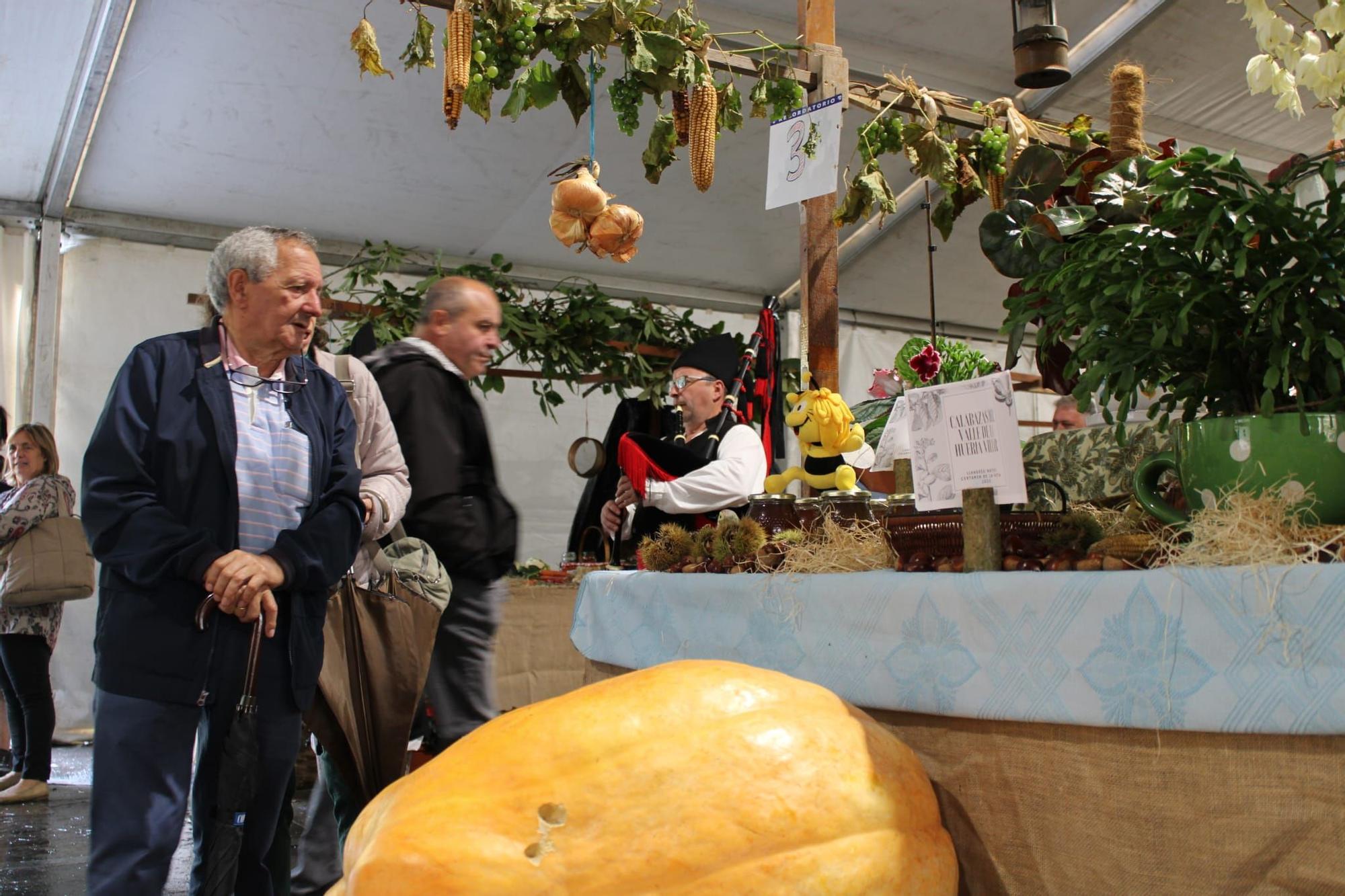 Sama celebra el III Certamen de la Huerta "Llangréu Natural"