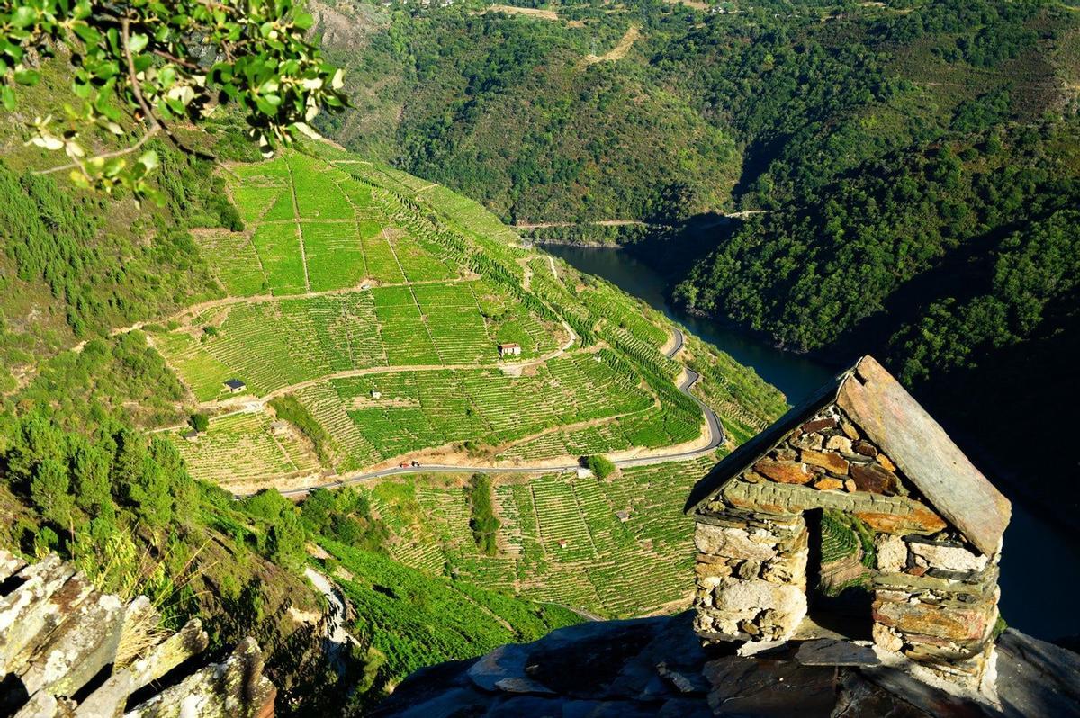 Viñedos Ribeira Sacra