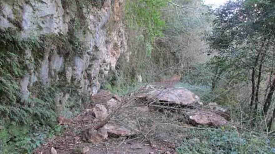 Un argayo corta la Senda del Oso cerca de Tuñón, en Santo Adriano