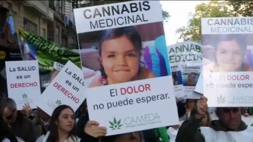 Argentina legaliza el uso medicinal de la marihuana