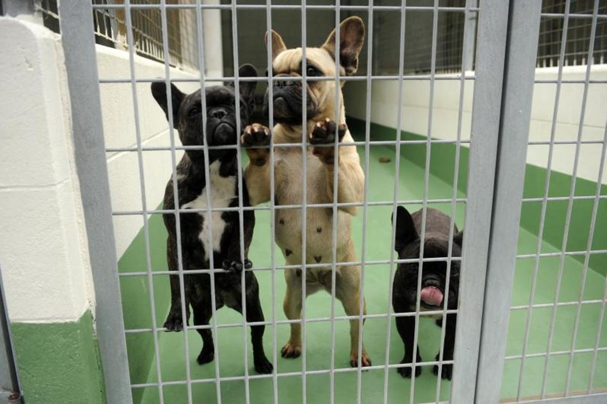 Imagen de archivo de las instalaciones del Consorcio.   | // E. VICENTE