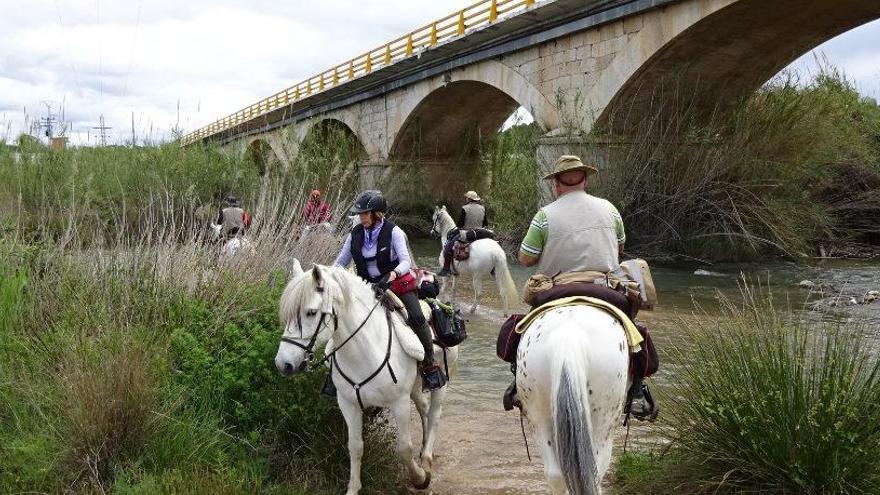 Prohíben el paso de caballos por las pasarelas del Parque Fluvial del Turia