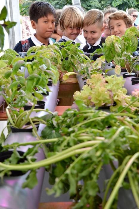 MINIFERIA SEMANA DE LA CIENCIA