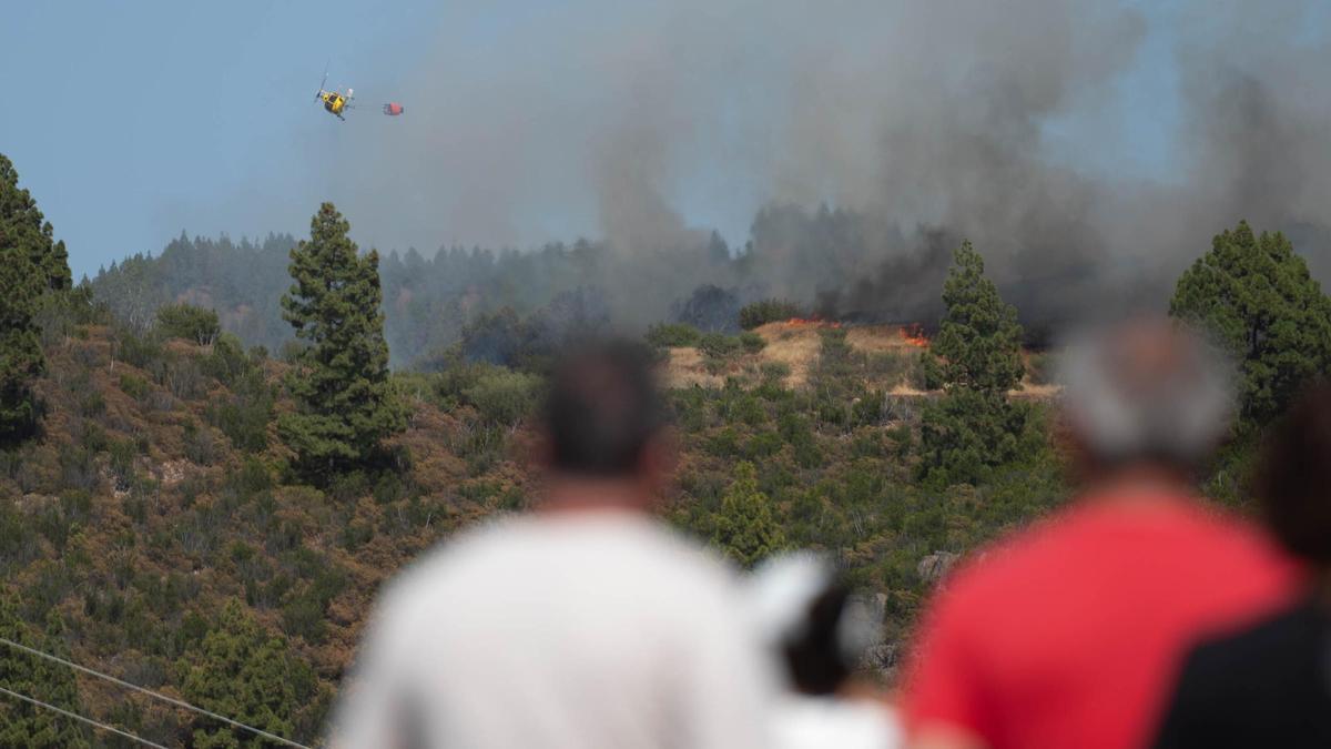 Incendio forestal el pasado verano en Tenerife.