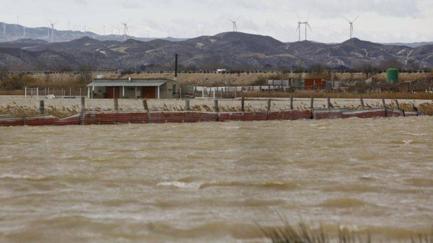 La crecida anega campos en la Ribera Baja y llega a Mequinenza