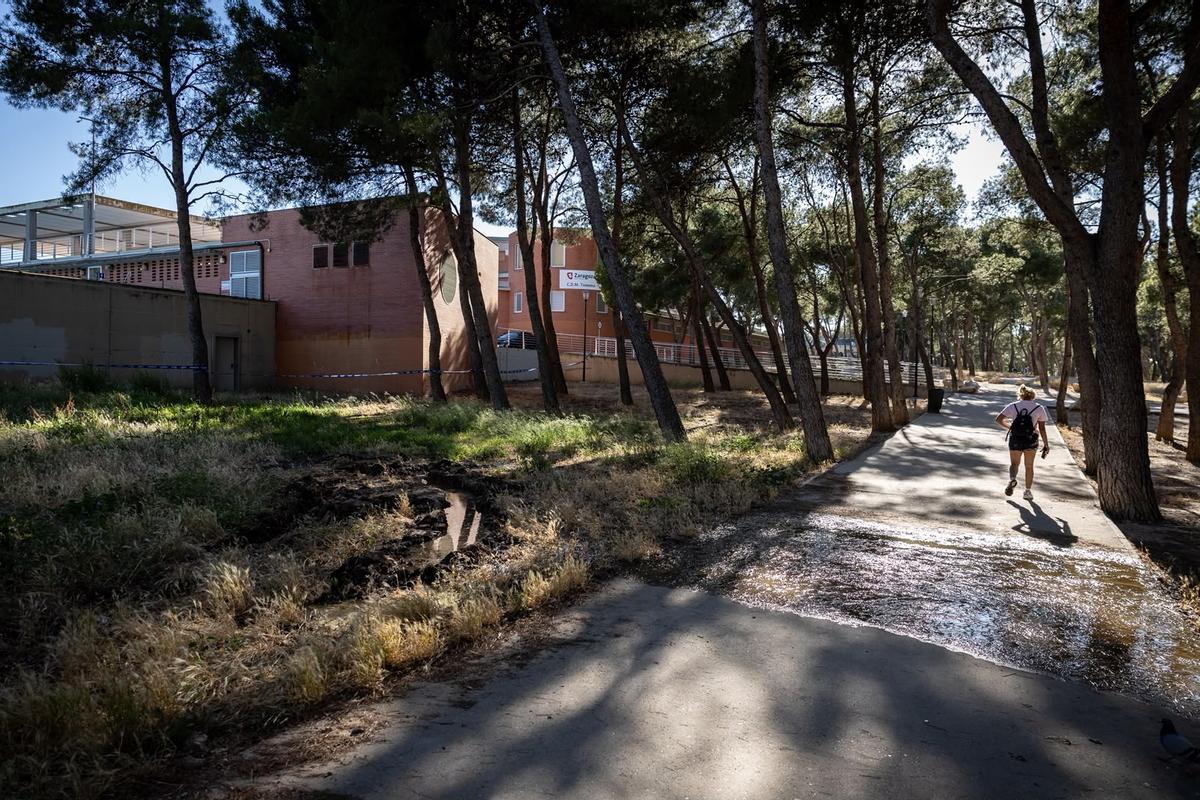 Las fugas están provocando charcos y riachuelos en un parque cercano.