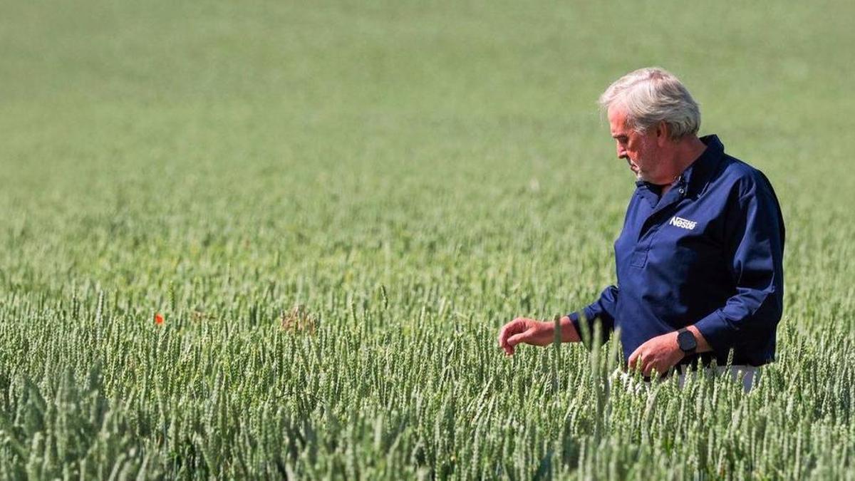 Agricultura regeneradora de sòls: l’aposta de Nestlé per una alimentació saludable