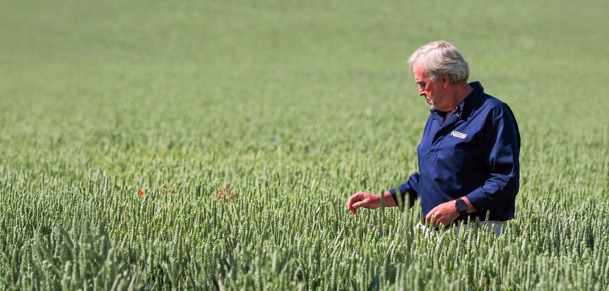 Agricultura regeneradora de sòls: l’aposta de Nestlé per una alimentació saludable
