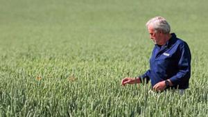 Agricultura regeneradora de sòls: l’aposta de Nestlé per una alimentació saludable