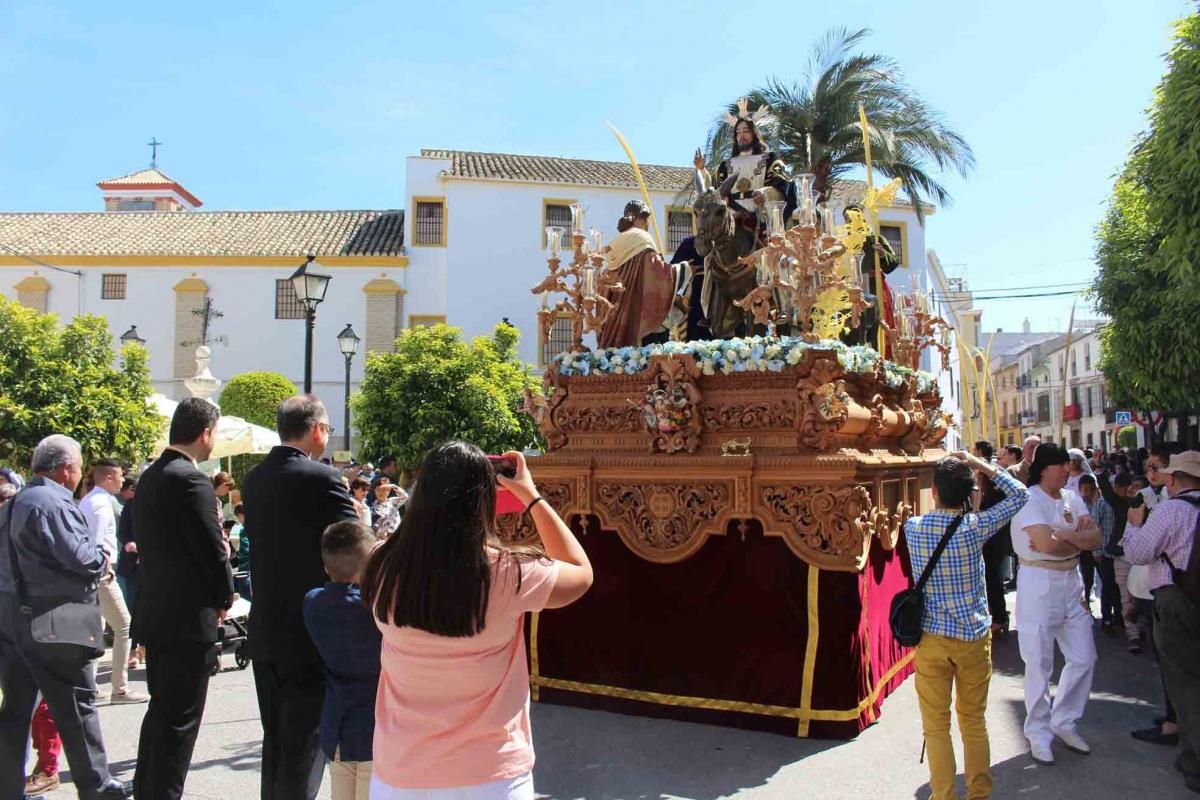 Domingo de Ramos en la provincia