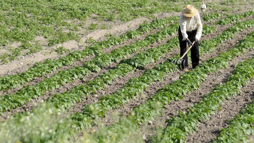 La «despensa de la aldea» se vacía por el éxodo del rural y el envejecimiento