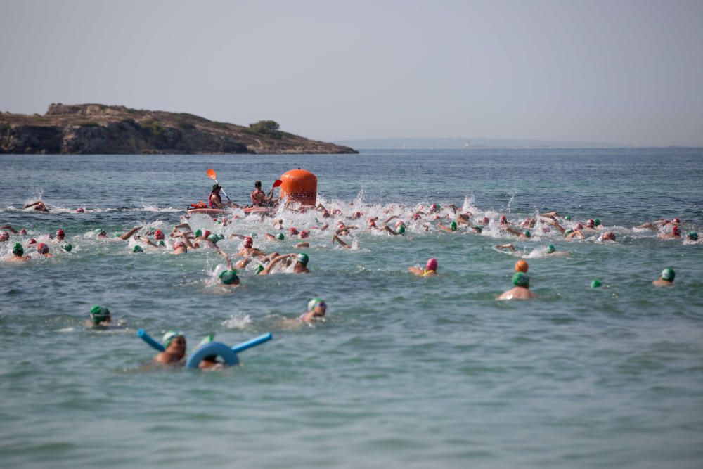 XXIX Travesía popular de natación