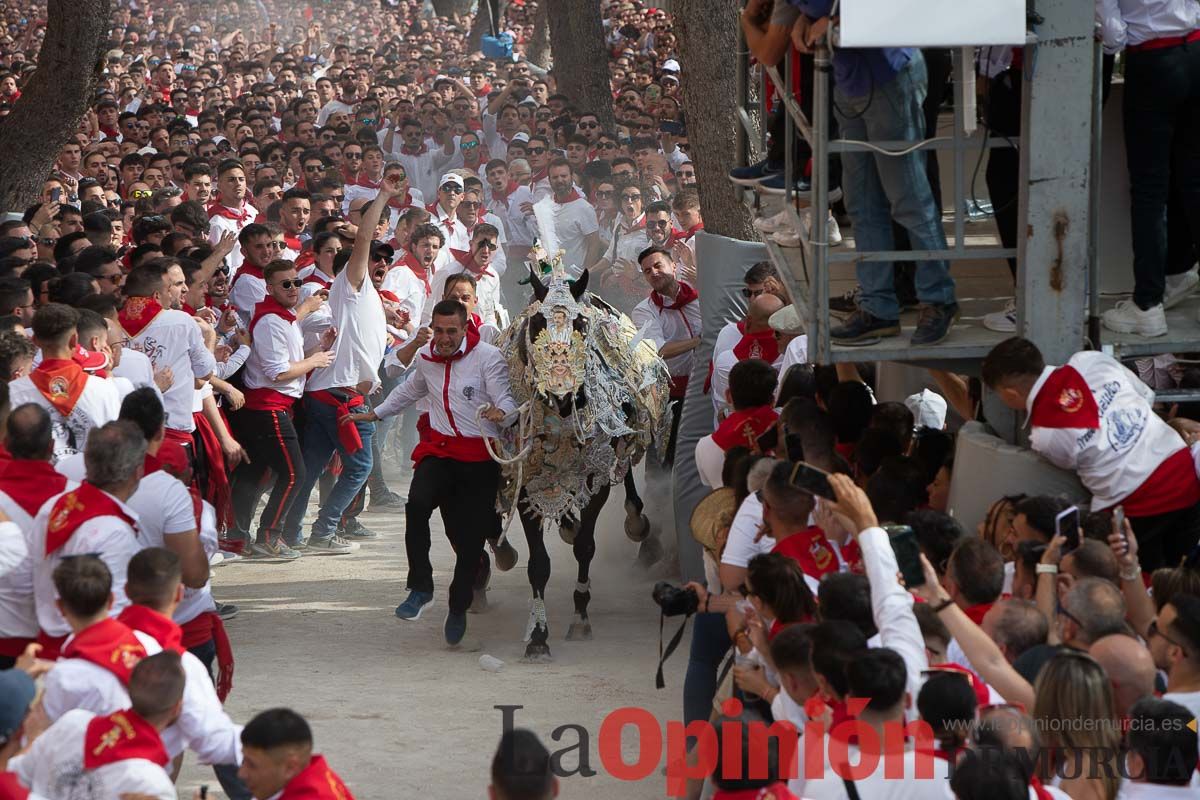 Así ha sido la carrera de los Caballos del Vino en Caravaca