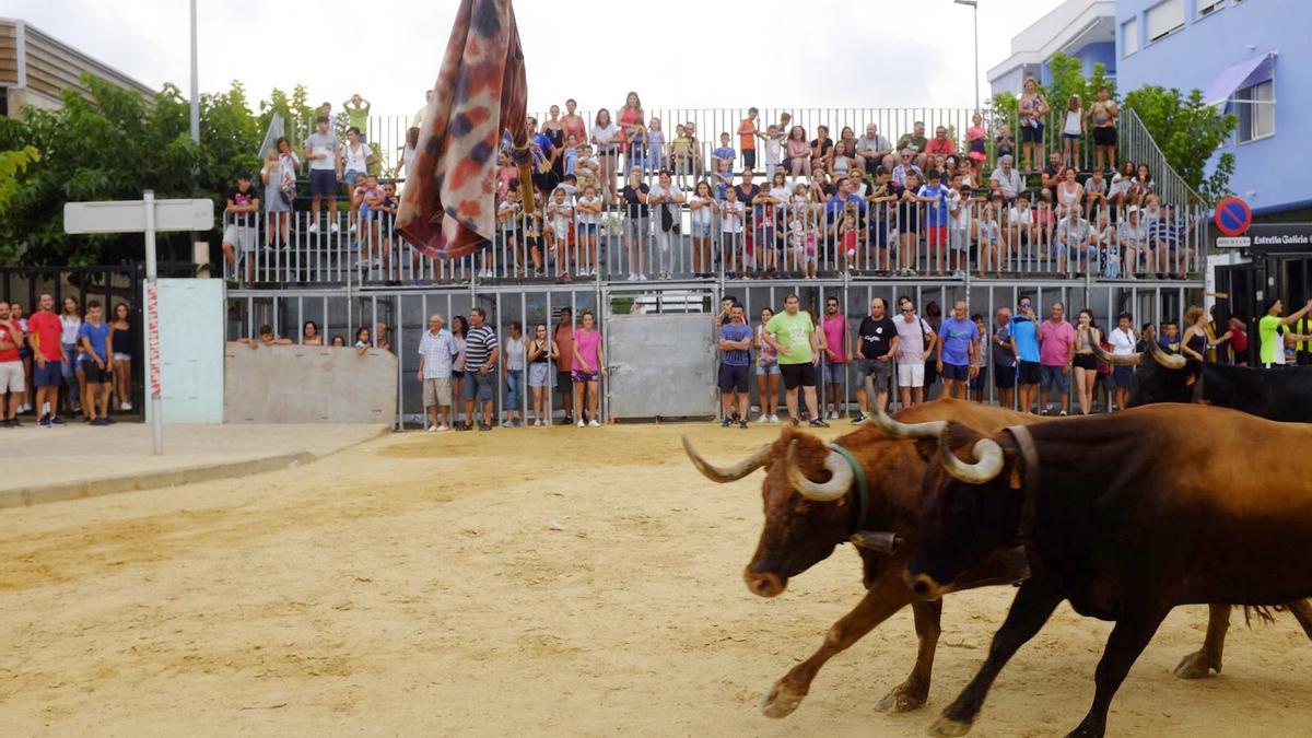 La playa no faltará a la cita con los actos taurinos con las habituales exhibiciones de vacas y toros