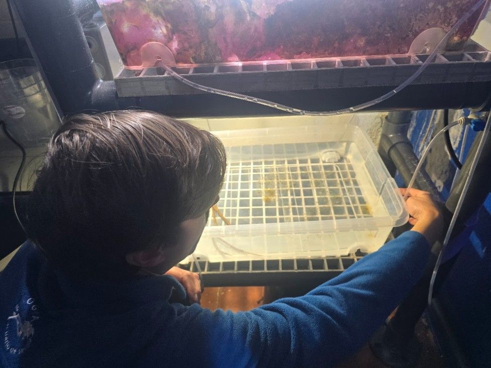 Las instalaciones del Acuario O Grove, en Punta Moreiras.