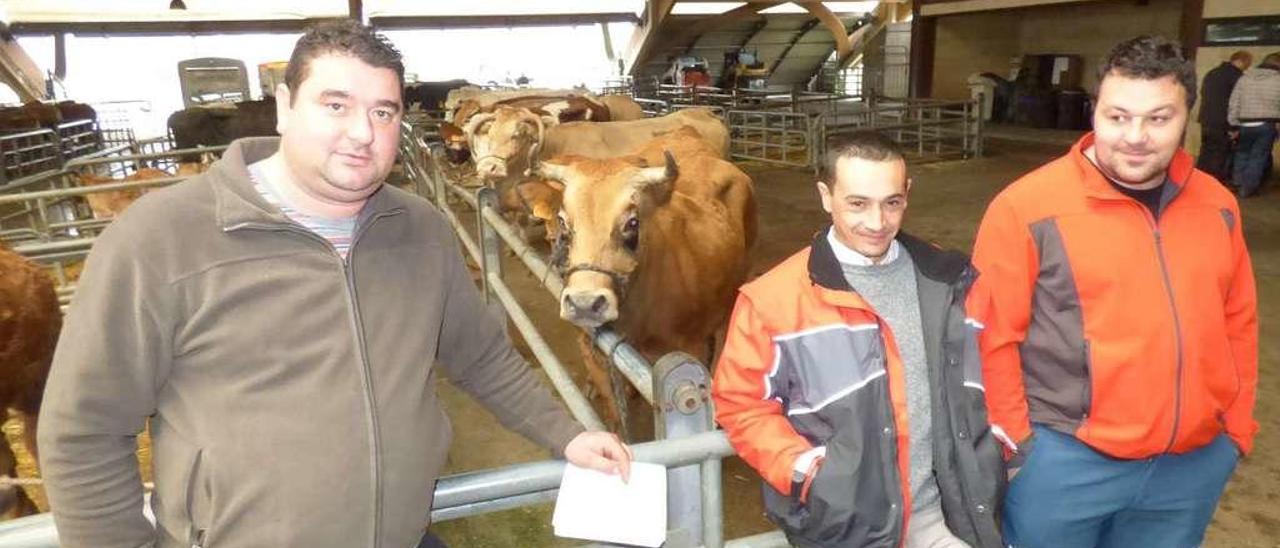 Sito Sánchez, Jesús Miguel Viña y Jairo Gutiérrez, ayer, en el mercado de ganados de Pola de Siero.