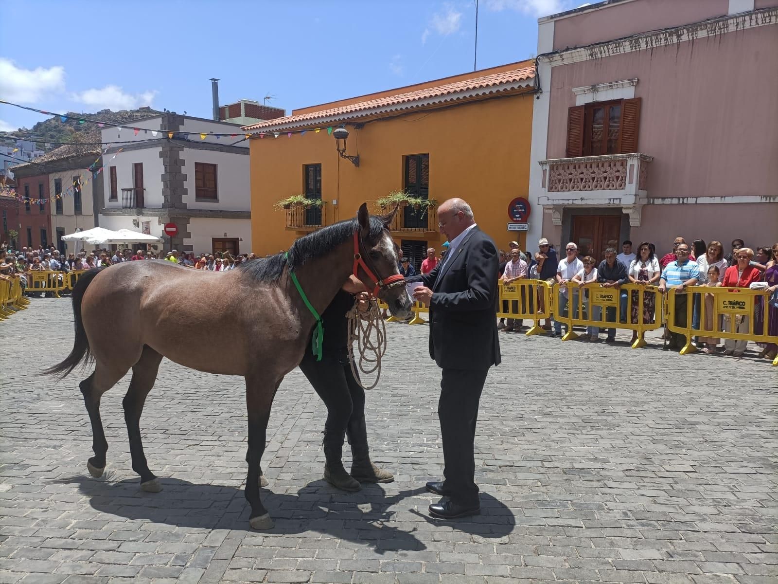 Santa Brígida celebra San Antonio