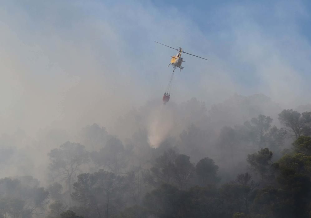 Efectivos y vecinos apagando el fuego