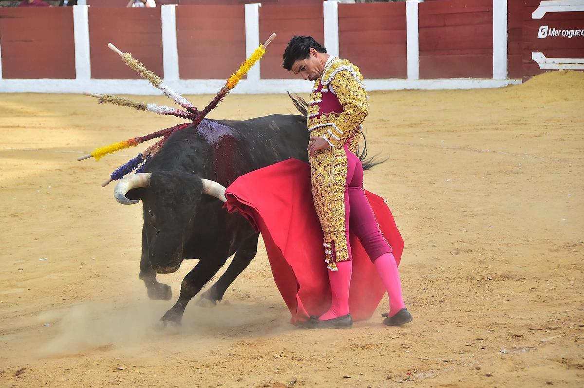 Fotogalería | Las imágenes de la corrida grande de la feria de Plasencia