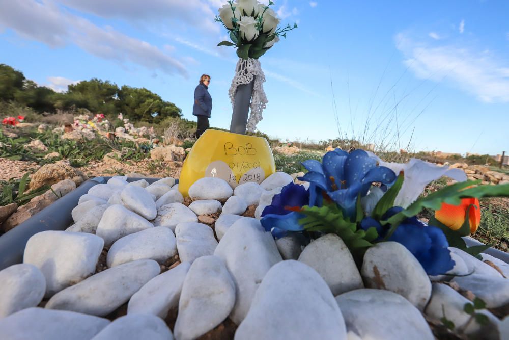 Junto al parque de Lo Albentosa de Torrevieja se extienden fosas y lápidas en una práctica no regulada