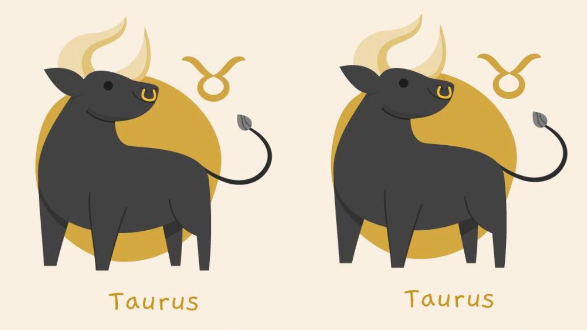 Tauro y Tauro